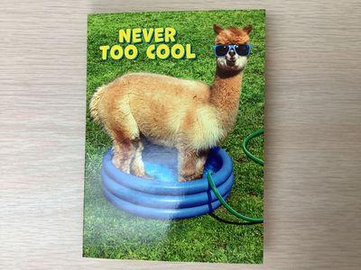 AVANTI TOO COOL ALPACA BIRTHDAY CARD