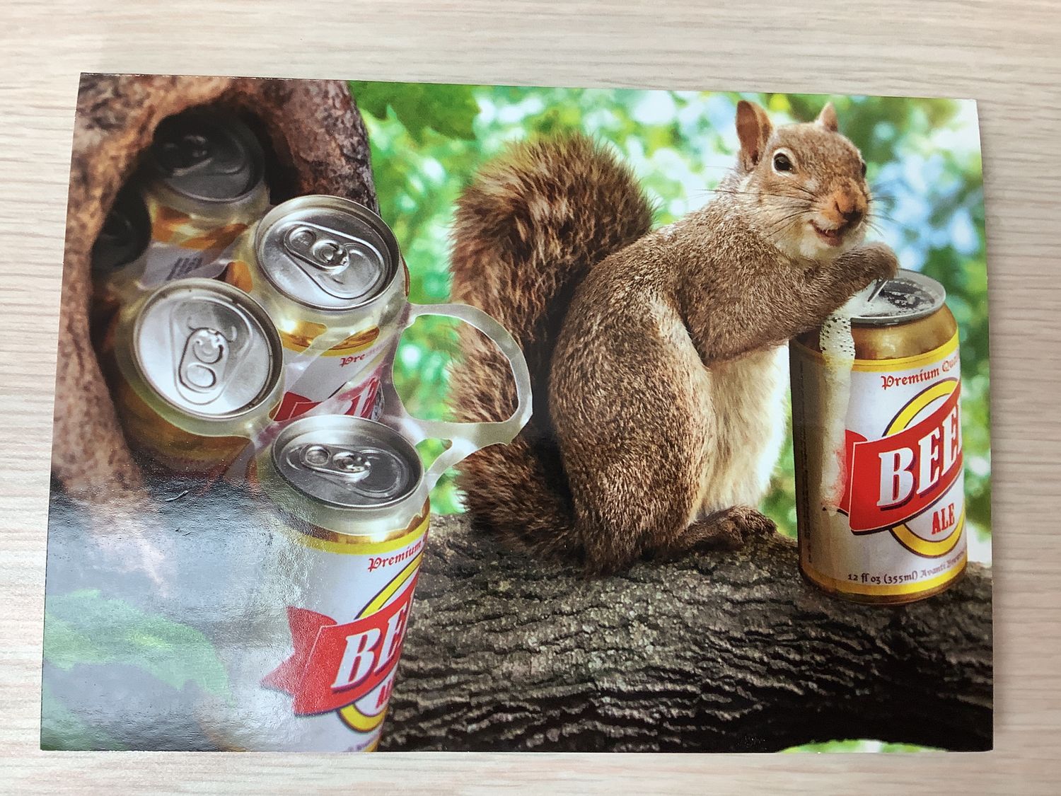 AVANTI SQUIRREL CARRYING SIX PACK BIRTHDAY CARD