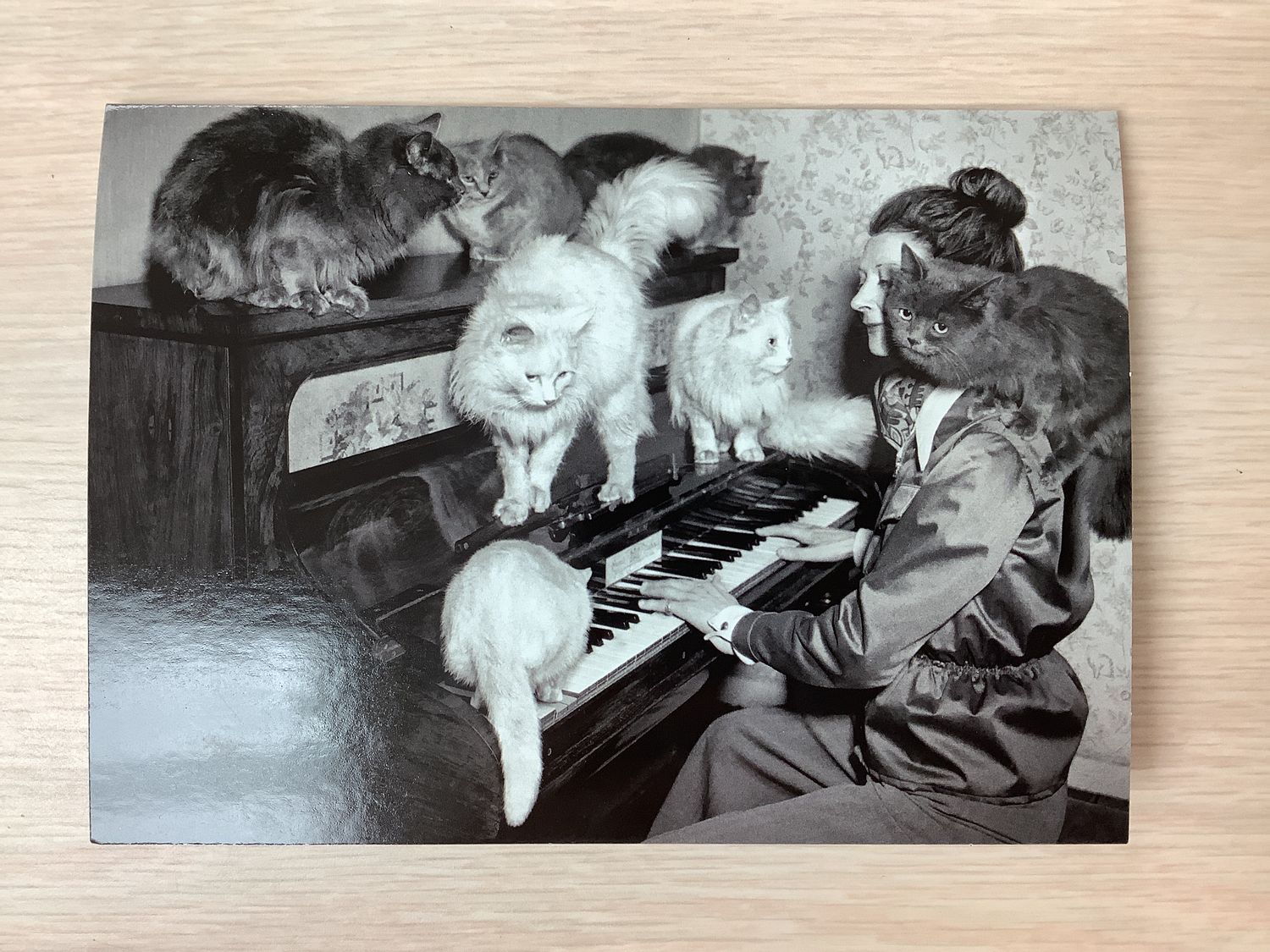 AVANTI PIANO CAT LADY BIRTHDAY CARD