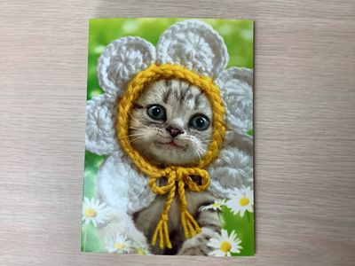 AVANTI SWEET DAISY KITTEN GET WELL CARD