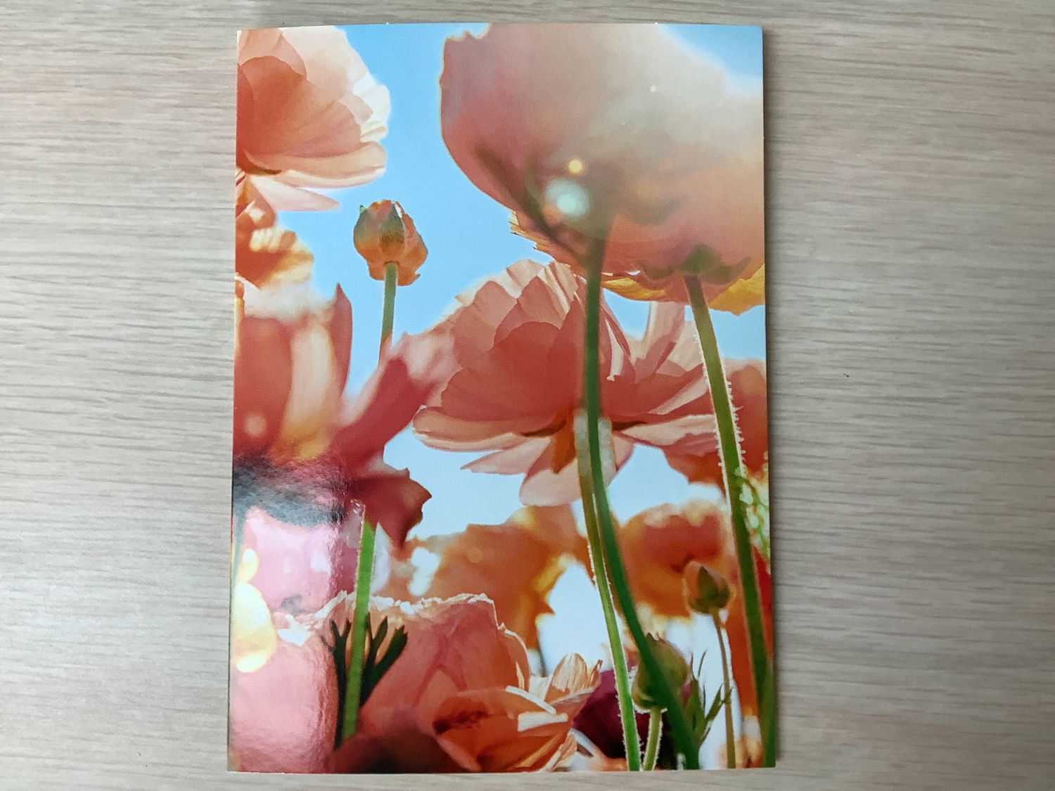 AVANTI SUNNY FLORAL SUPPORT CARD
