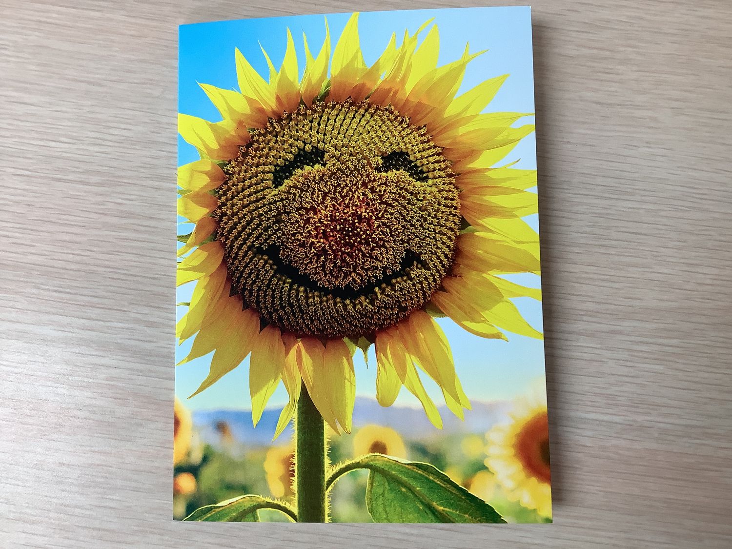 AVANTI SUNFLOWER FACE BLANK INSIDE CARD
