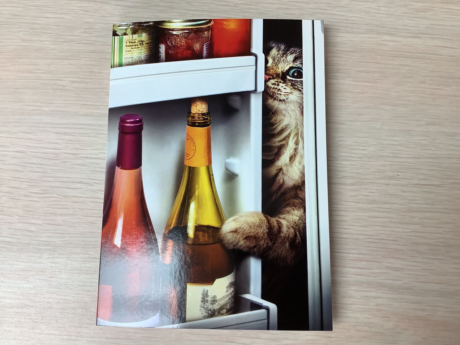 AVANTI CAT PEEKING IN FRIDGE AT WINE FUNNY CARD