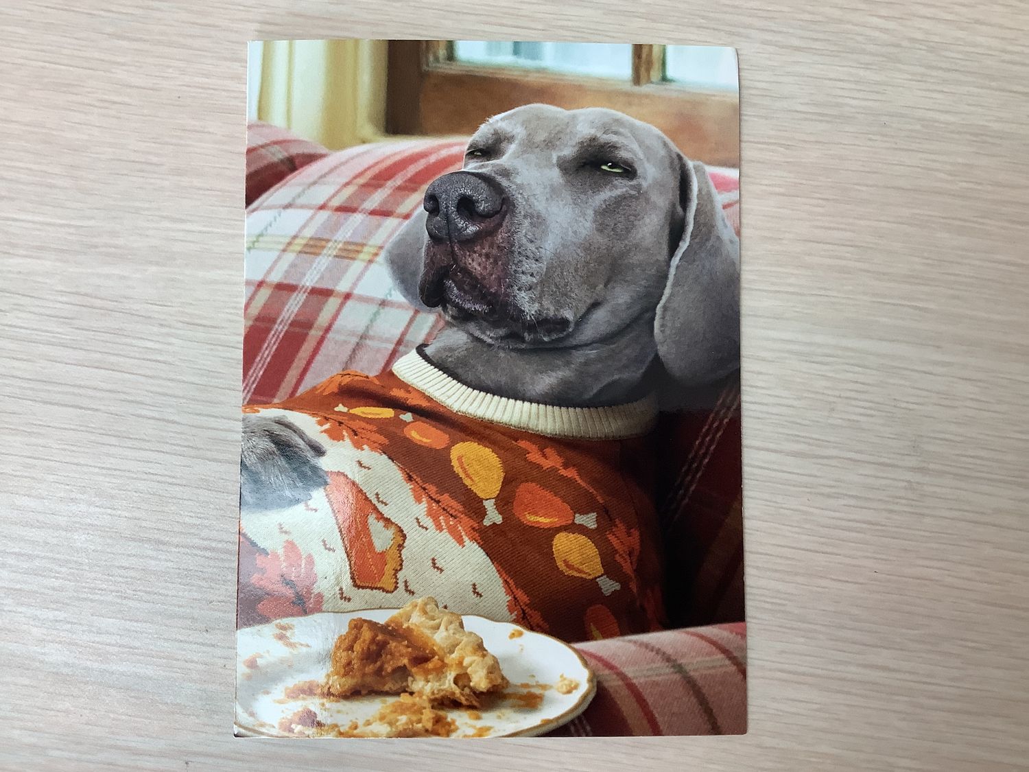 AVANTI THANKFUL DOG THANKSGIVING CARD