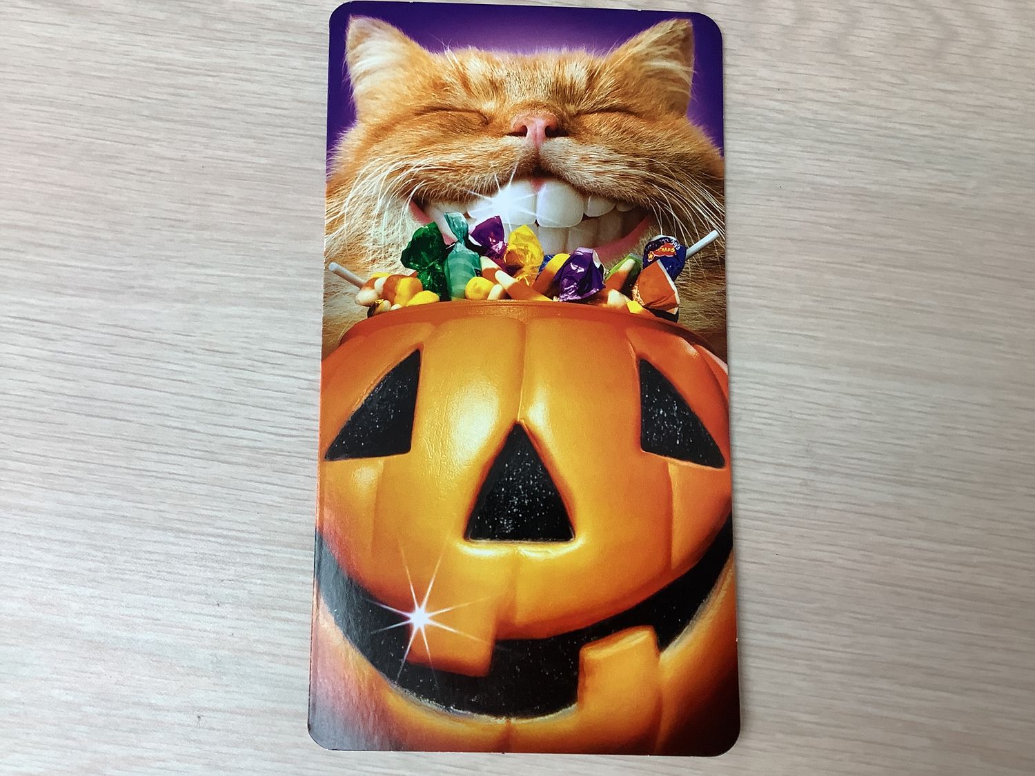 AVANTI CAT PUMPKIN TEETH HALLOWEEN BIG CARD