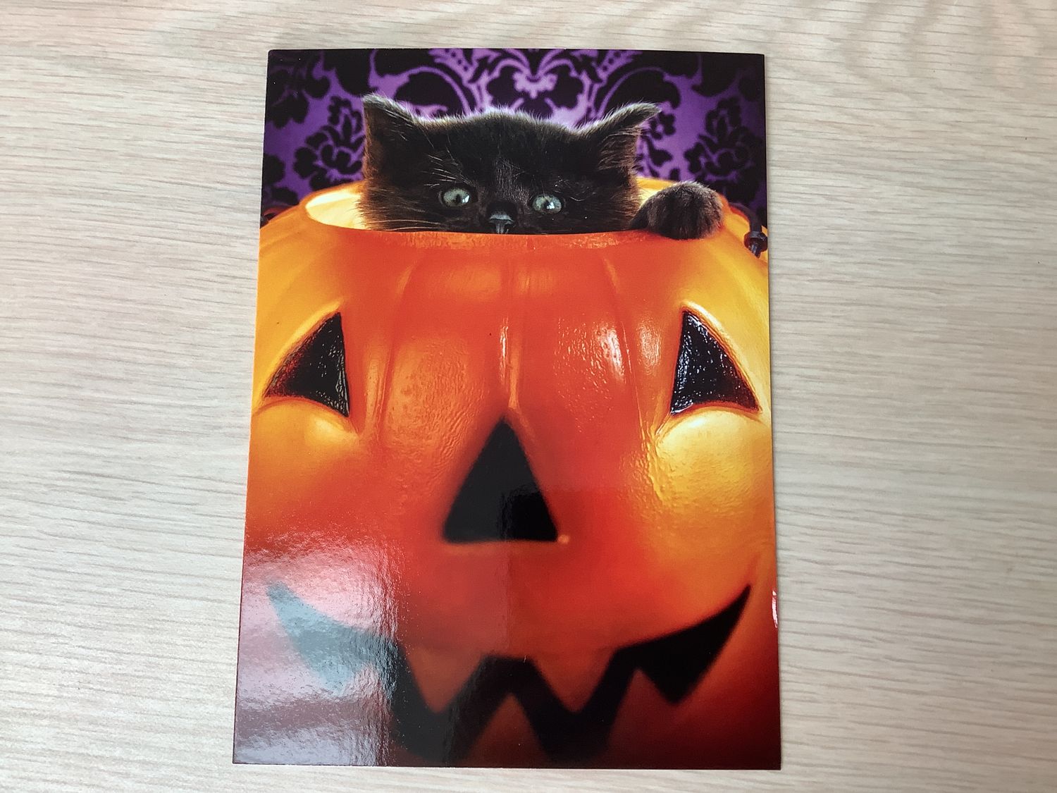 AVANTI KITTEN IN PUMPKIN BUCKET HALLOWEEN CARD