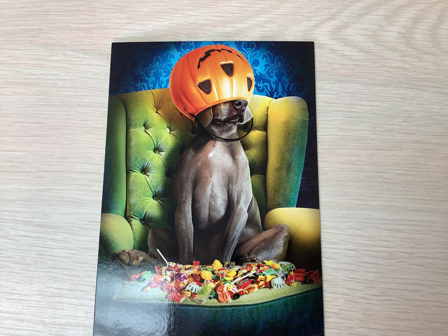 AVANTI DOG PUMPKIN BUCKET HEAD HALLOWEEN CARD
