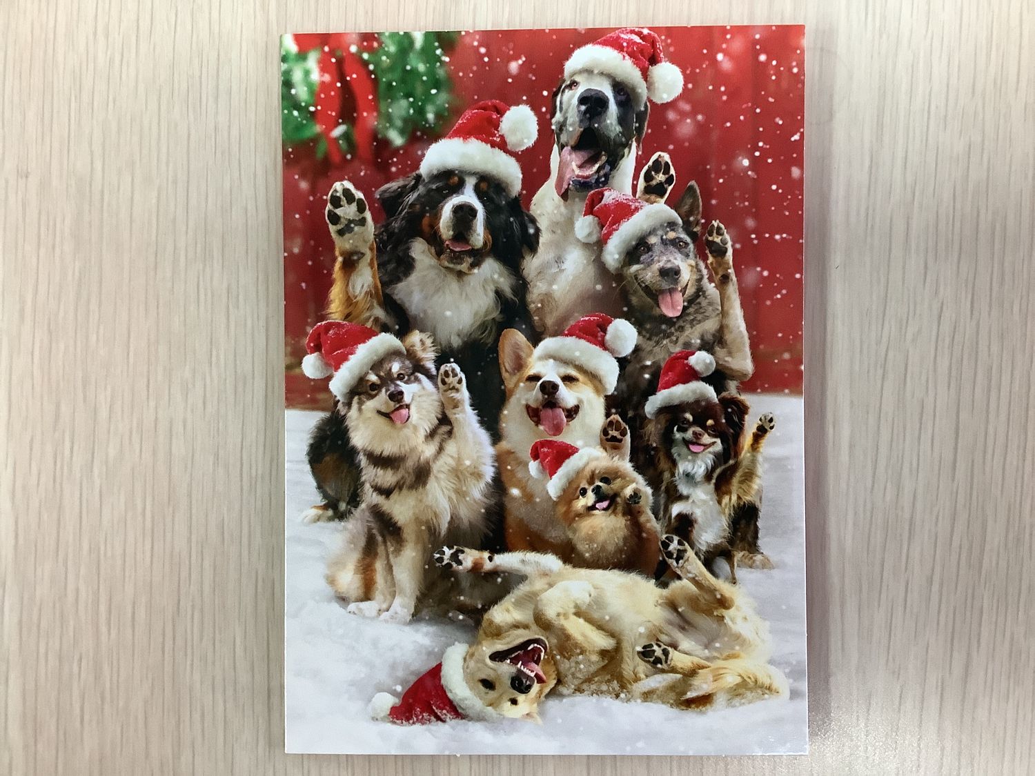 AVANTI SANTA DOGS CHRISTMAS CARD