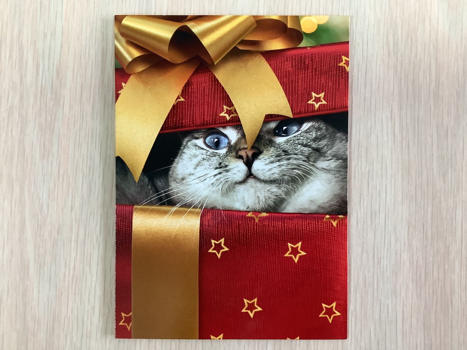 AVANTI CAT CHRISTMAS GIFT CHRISTMAS CARD