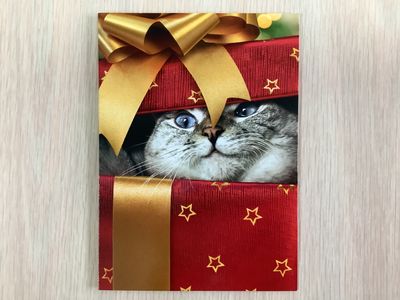 AVANTI CAT CHRISTMAS GIFT CHRISTMAS CARD