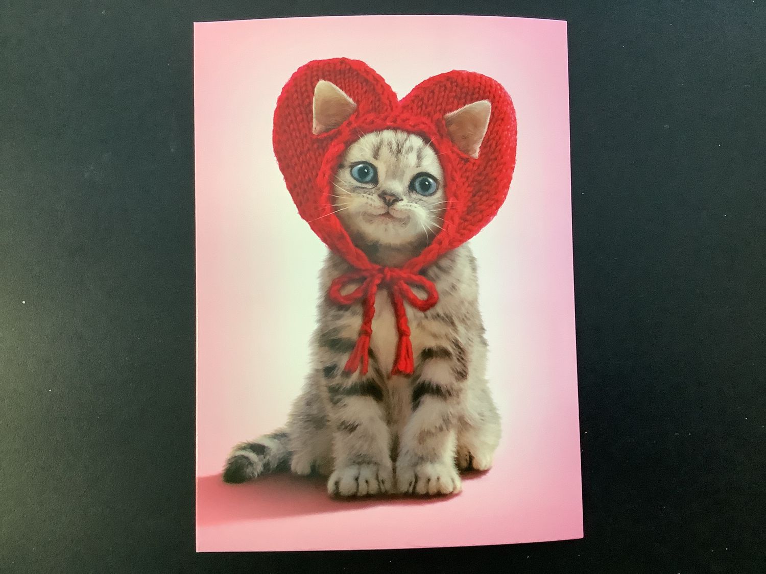 AVANTI HOLIDAY KITTEN KNIT VALENTINES DAY CARD