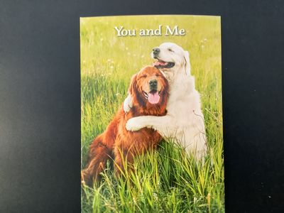 AVANTI HOLIDAY GOLDEN RETRIEVER HUG VALENTINES DAY CARD
