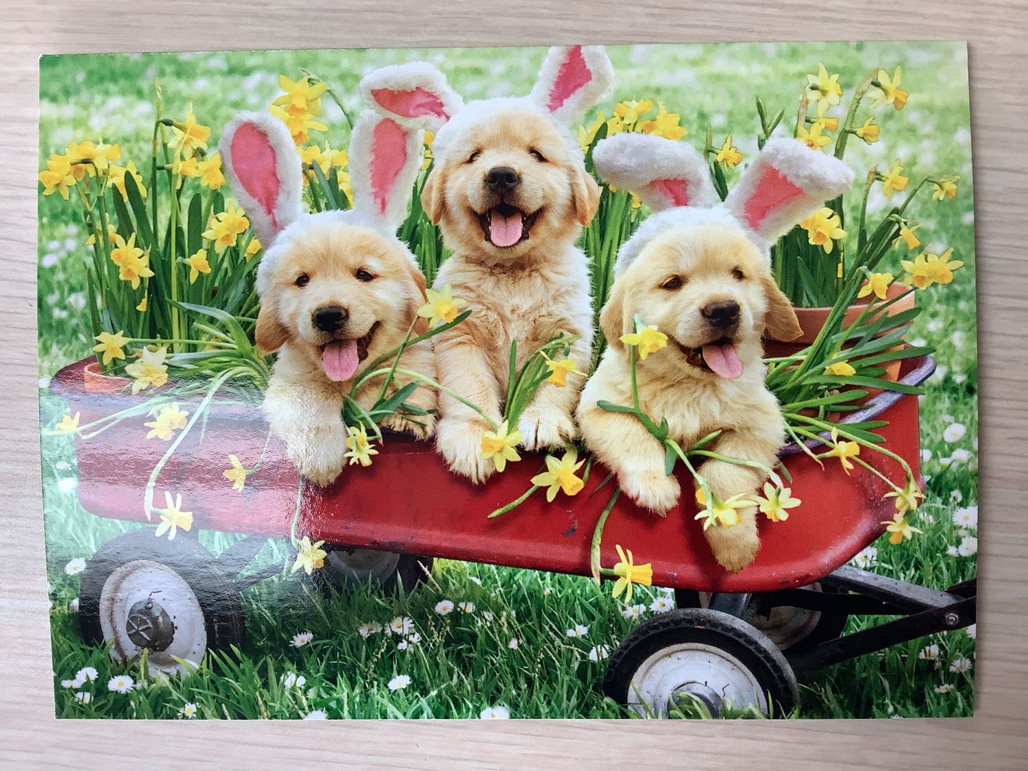 AVANTI PUPPIES IN EASTER WAGON CARD