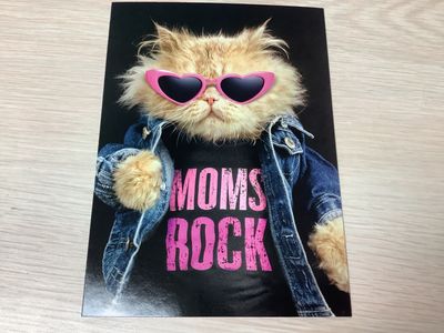 AVANTI COOL CAT IN DENIM MOTHERS DAY CARD