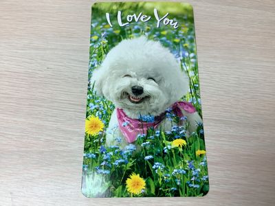 AVANTI HAPPY DOG IN FLOWER FIELD MOTHERS DAY CARD