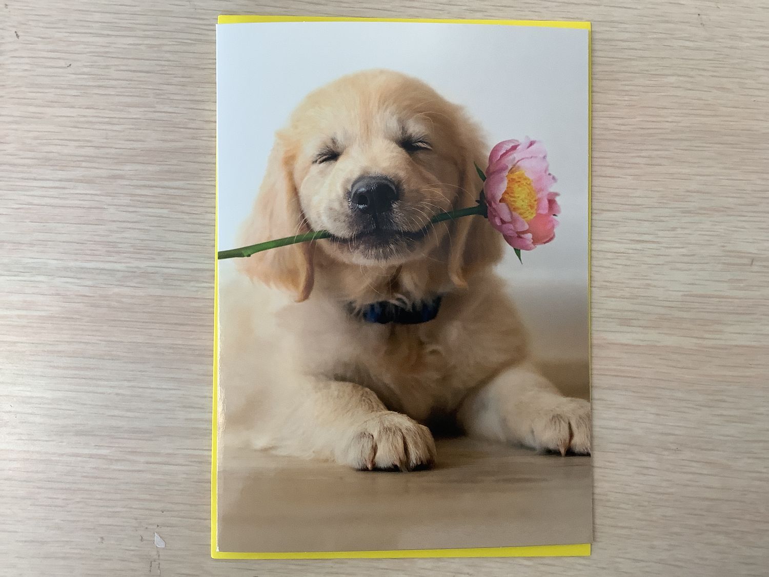 AVANTI GOLDEN RETRIEVER MOTHERS DAY CARD