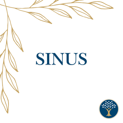 Sinus