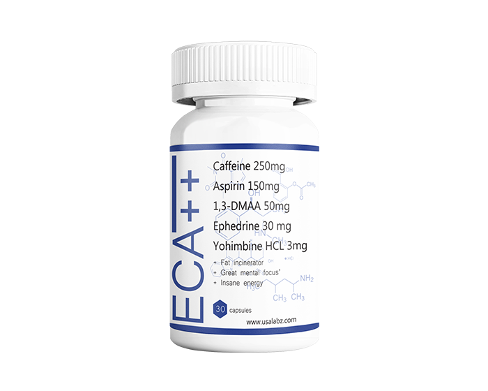 ECA++