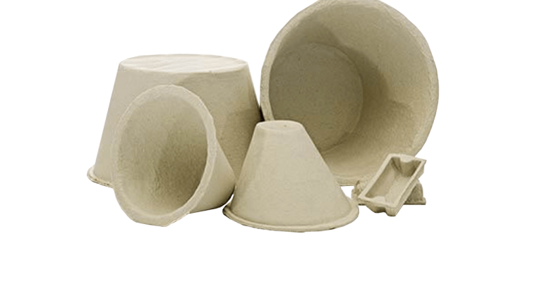 Loft Cones