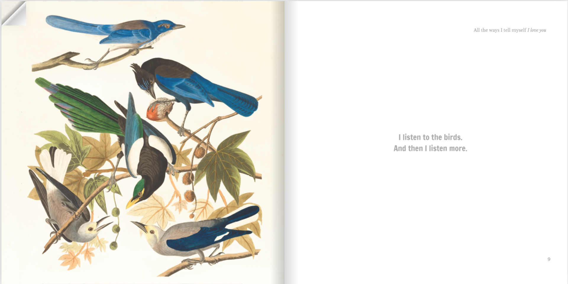 All the ways I tell myself I love you