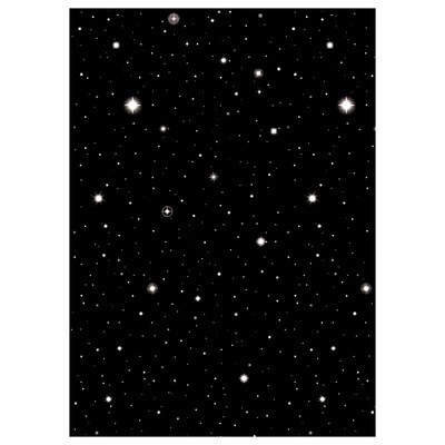 Hollywood Starry Nights Plastic Room Roll
