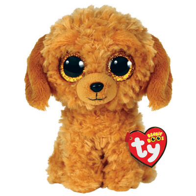 Noodles GOLDEN DOODLE
