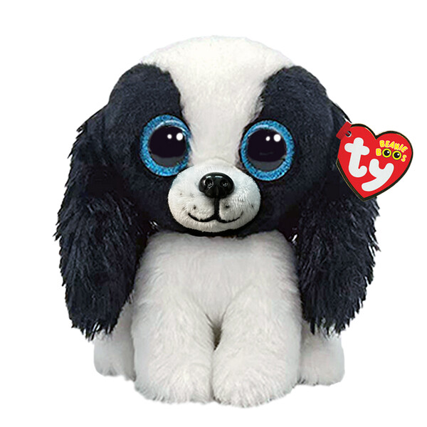 Sissy BLACK AND WHITE DOG