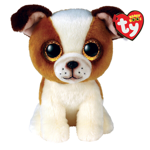 Hugo BROWN AND WHITE DOG