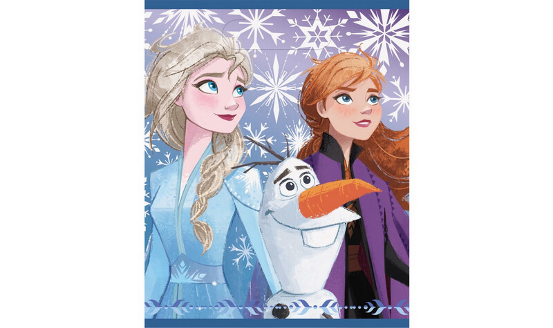 Disney Frozen 2 Loot Bags 8ct