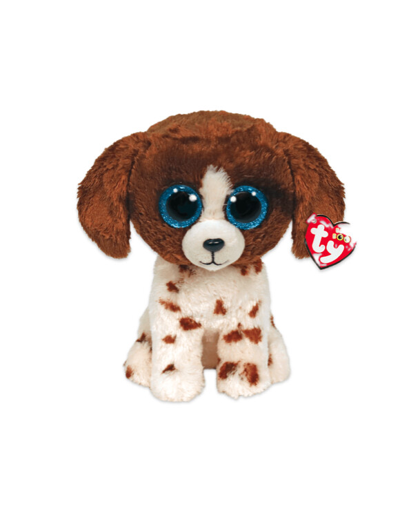Muddles BROWN AND WHITE DOG, SIZE &amp; VARIETY: S