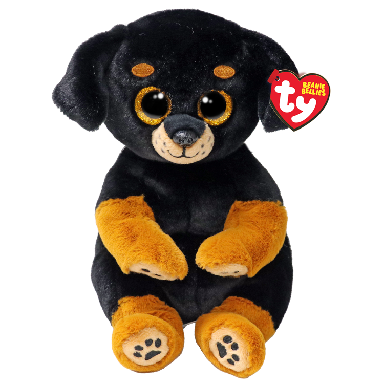 RANDI - Rottweiler belly reg