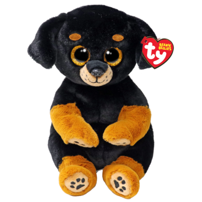 RANDI - Rottweiler belly reg