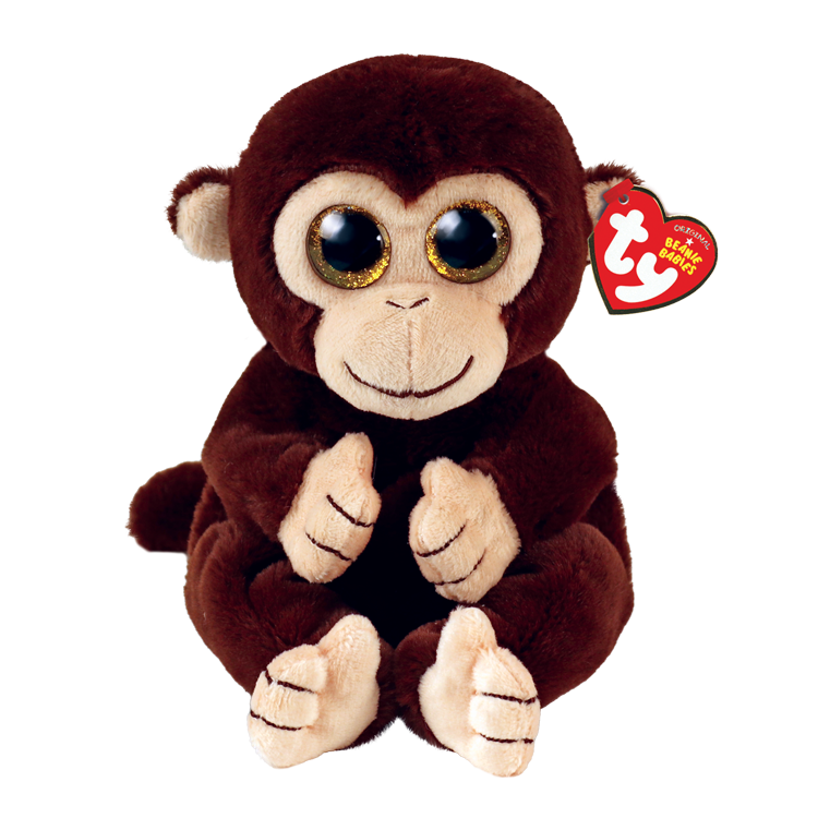 MATTEO - monkey brown belly reg