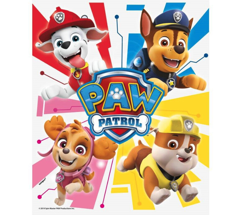 Paw Patrol LOOT BAGS 8CT