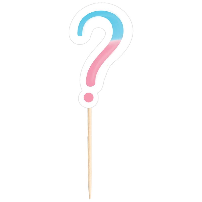 Pink &amp; Blue Question Mark Party Picks, 24ct - Gender Reveal