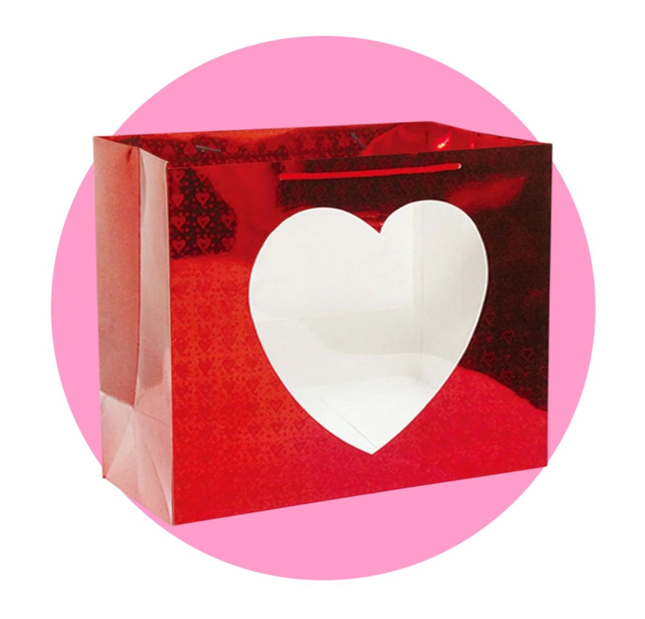 Hologram Horizontal Window Bag  13.8 " x 12.6" x 7"