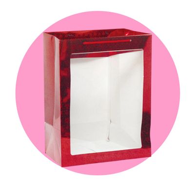 Hologram Window Bag Large (10.6" x 13.8" x 6")