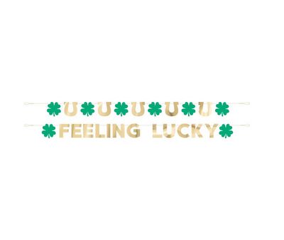 Charming Shamrock "Feeling Lucky" 2pc Foil Garland 9 ft