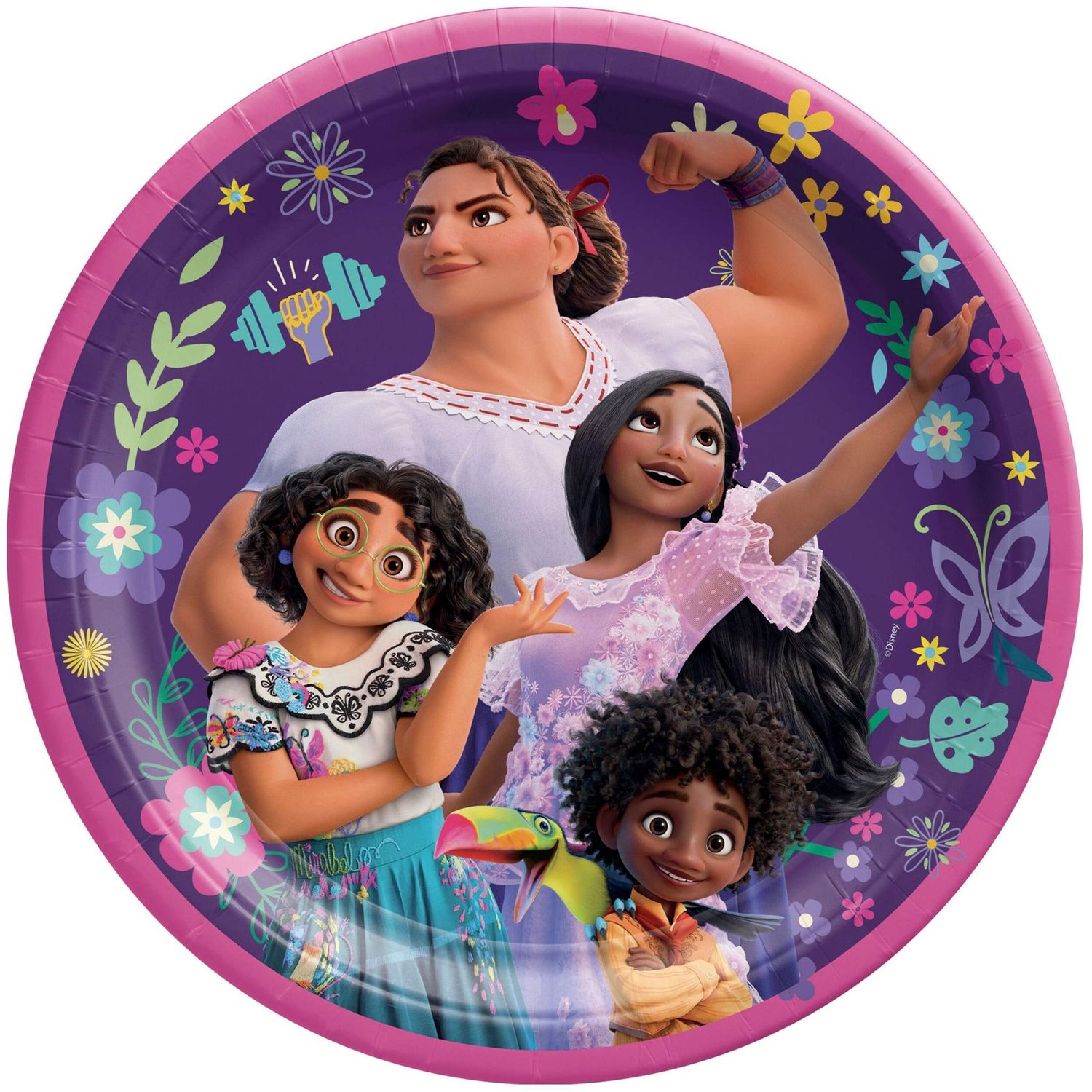 Encanto Round Paper Disposable Lunch Plates, Pink/Purple, 9-in, 8CT