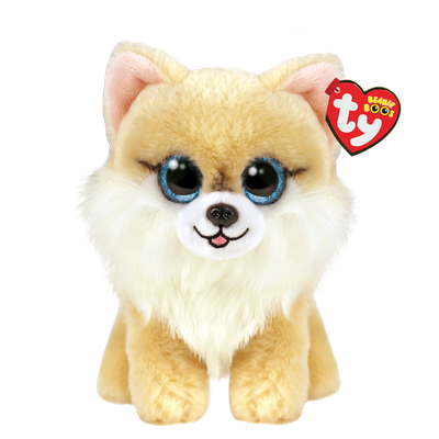 Honeycomb tan dog