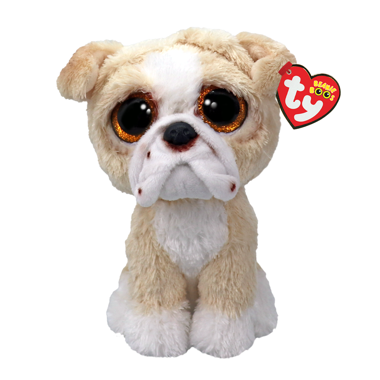 Pooch tan English Bulldog
