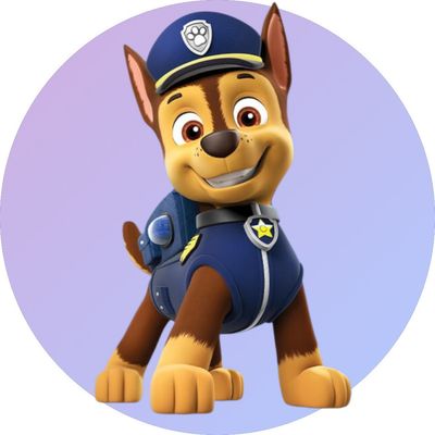 Paw patrol