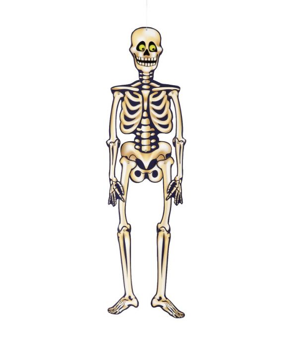 Halloween Jointed Skeleton