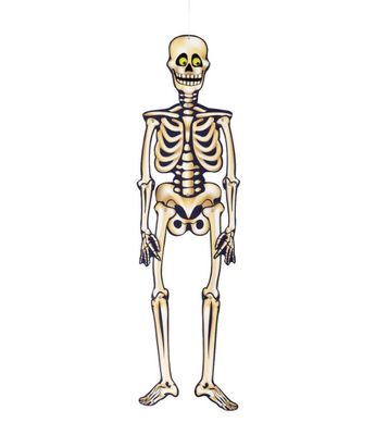 Halloween Jointed Skeleton