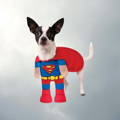 Pet Costumes