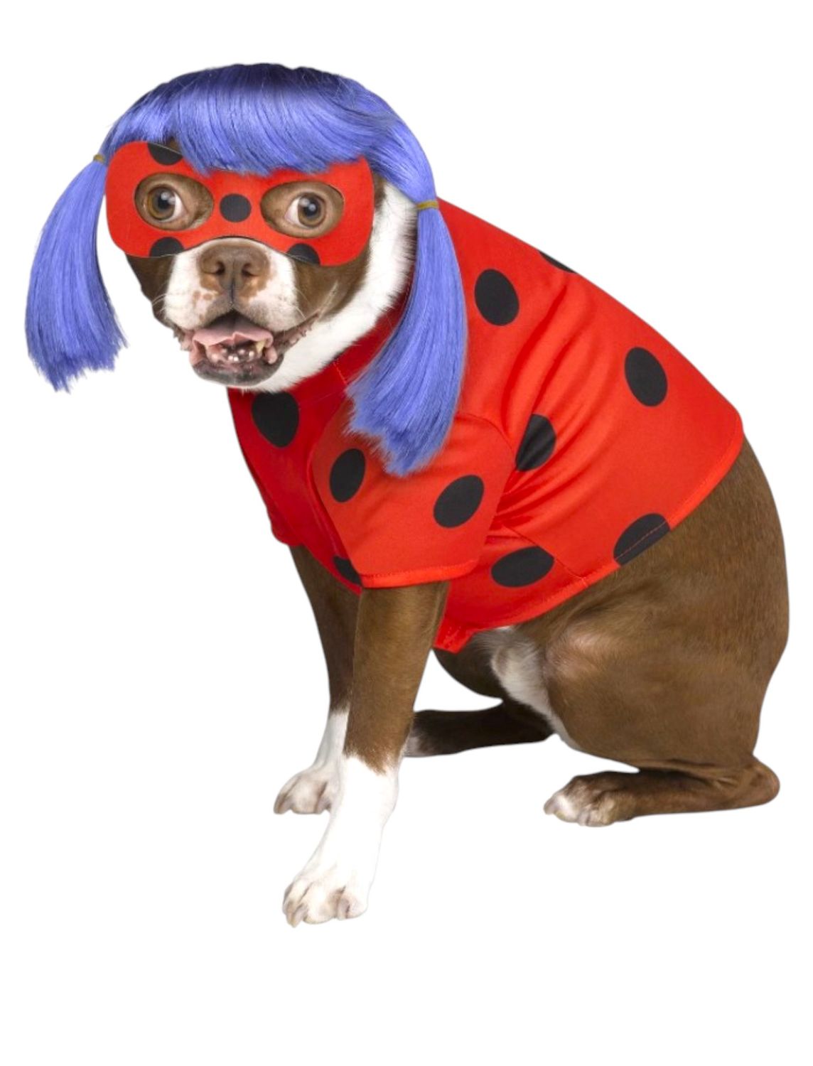 Miraculous Ladybug Pet Costume | Officially Licensed Group Dog Halloween Costume - Sizes S-L, INSPIRIT SIZE: SML 11-17LBS