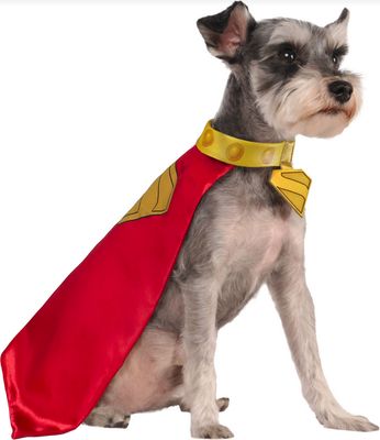 Krypto Pet Cape and Collar