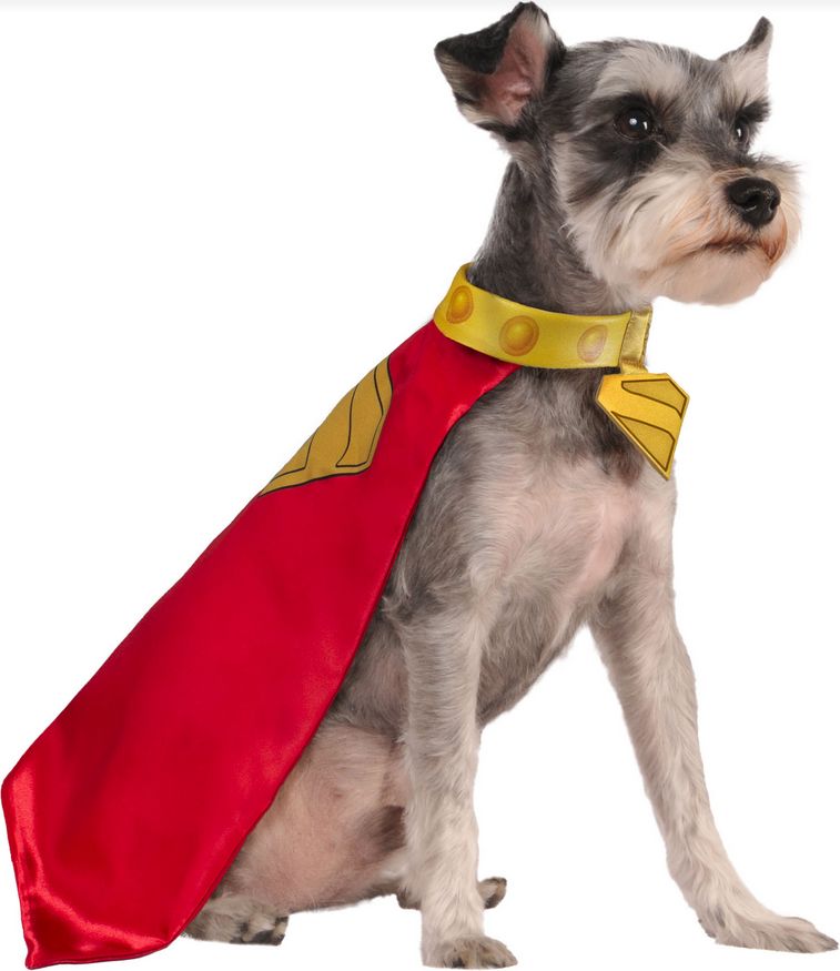 Krypto Pet Cape and Collar, Rubies Size: S