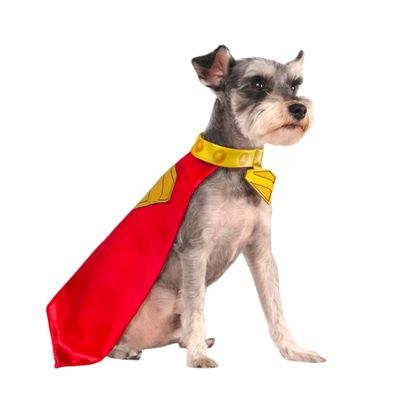 Krypto Pet Cape and Collar