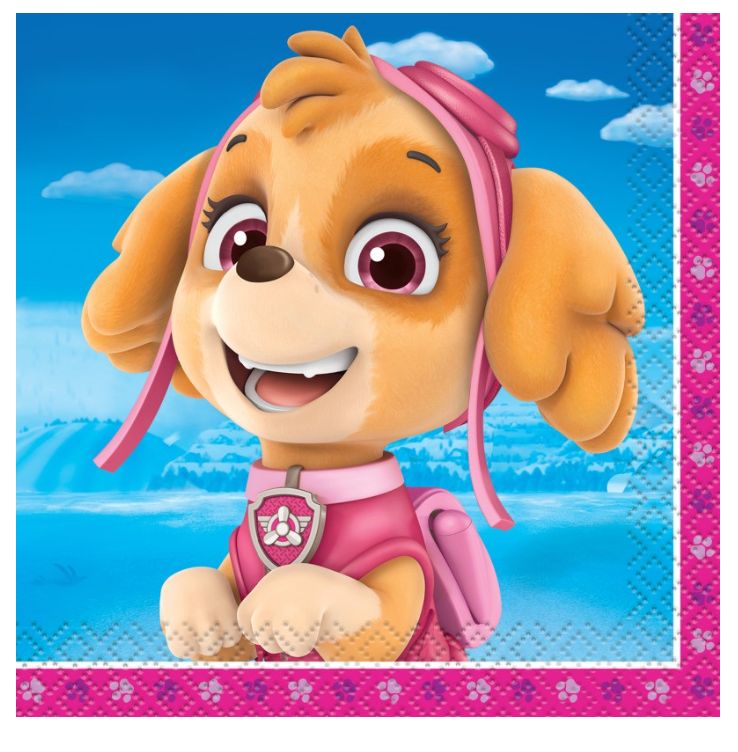 Paw Patrol Girl Beverage Napkins 16ct